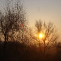 dsc00430