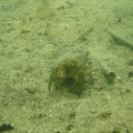DSC09435